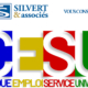 CESU expert comptable silvert
